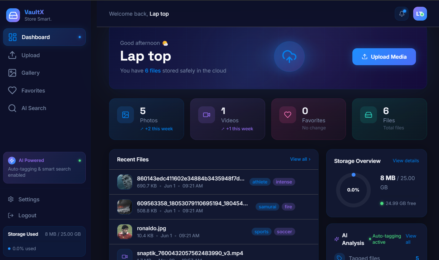 Vault X template preview