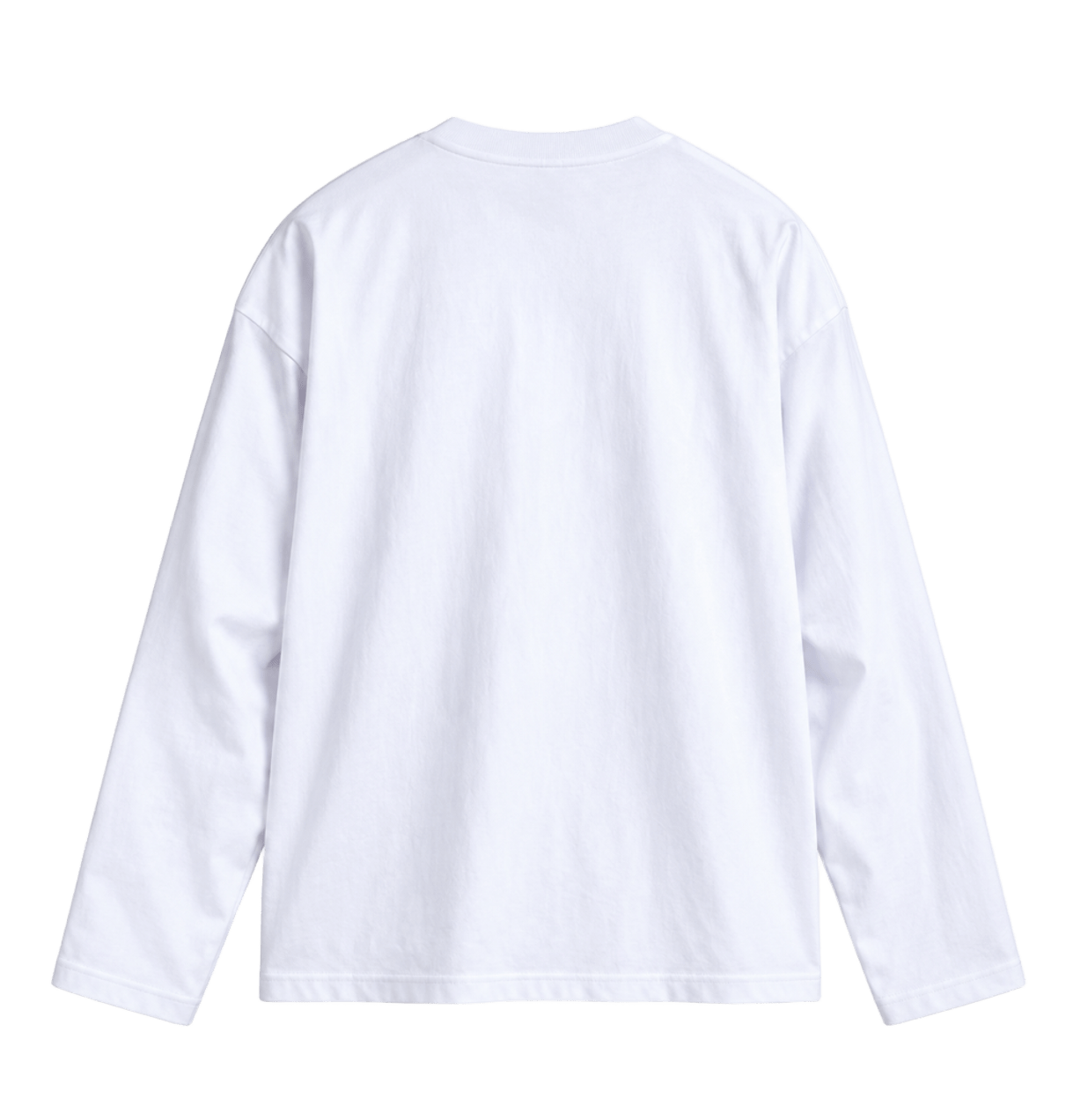 LensOfLuka BLANK Long Sleeve 2
