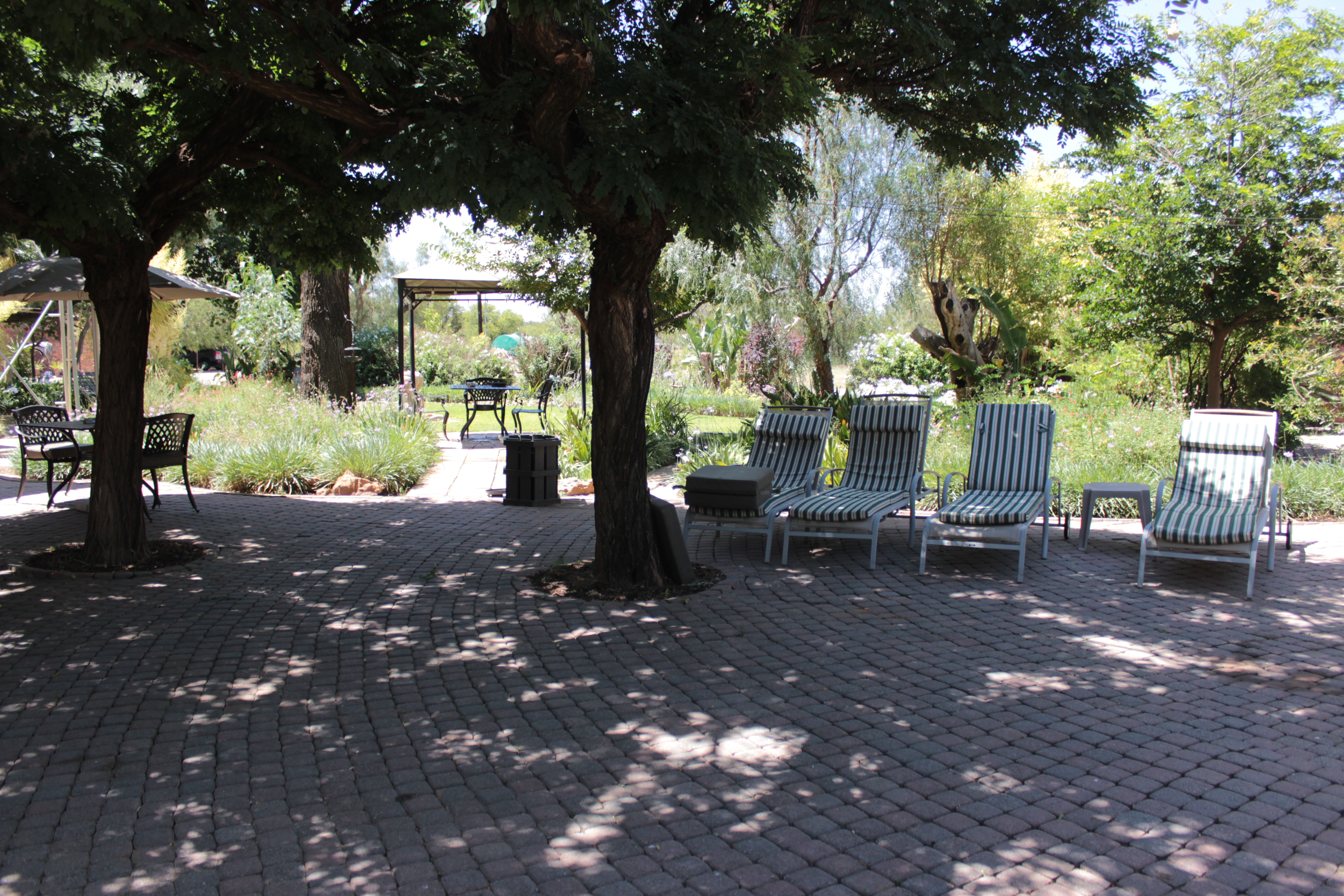 Rhino's Rest Garden