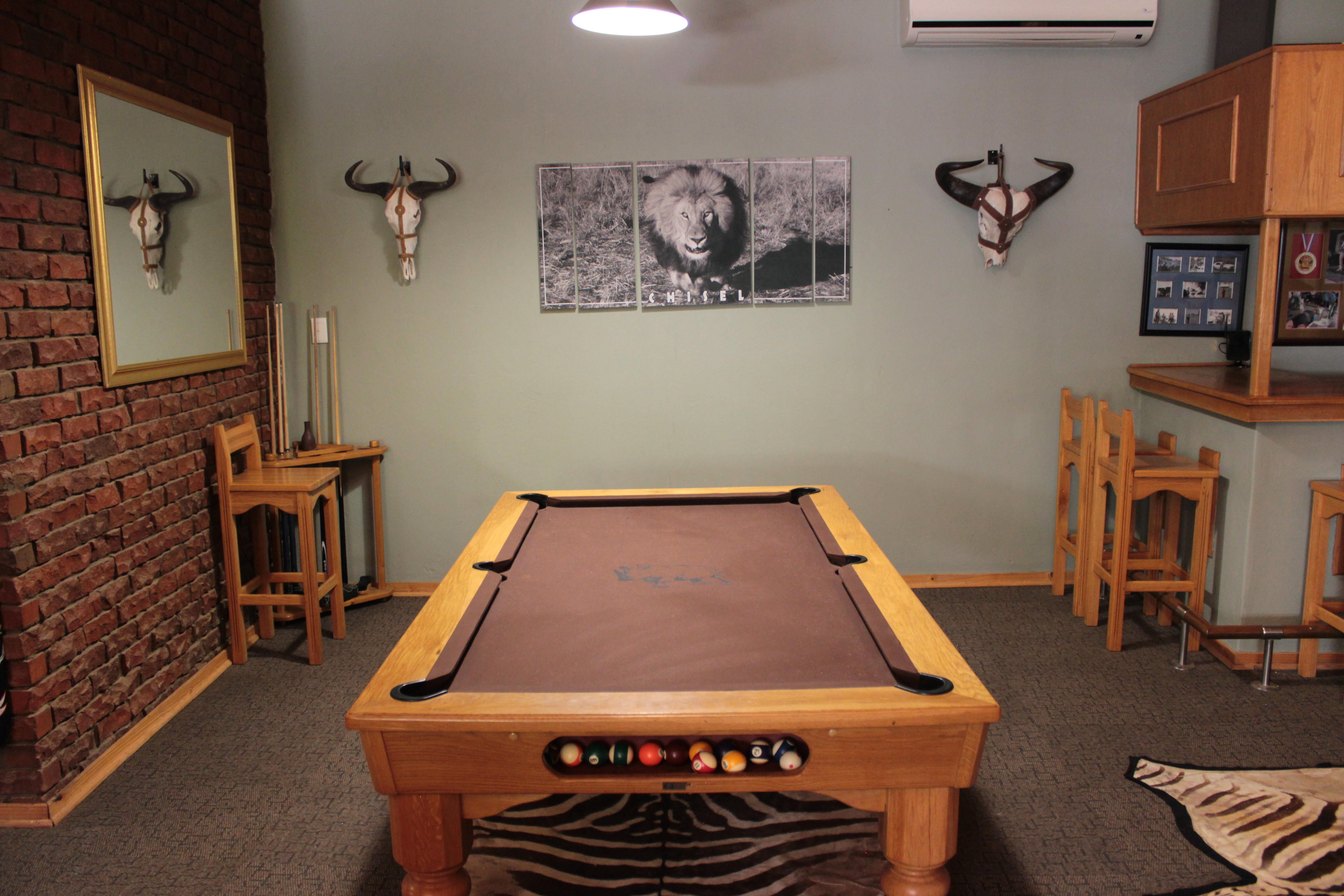 Rhino's Rest Pool Table Room