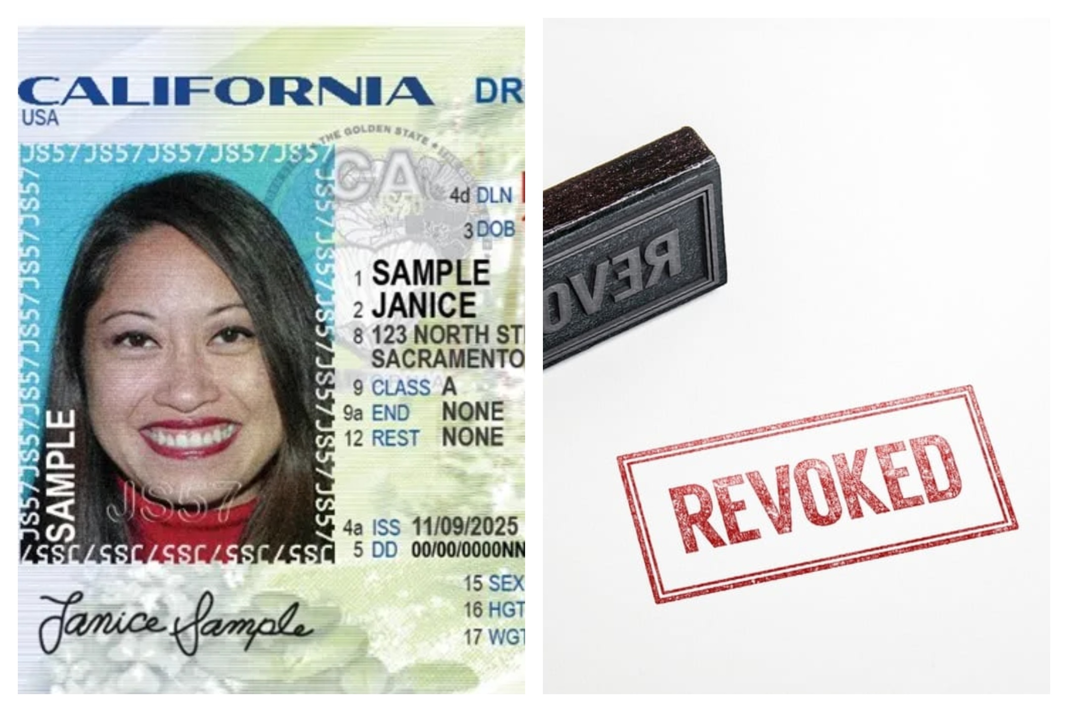 Not-So-Sanctuary State? California Agrees to Share Information on Illegal Immigrant Drivers Nationally