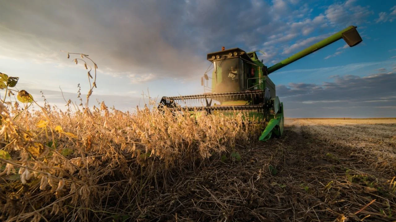 Trump unveils $12 billion farm bailout amid tariff woes