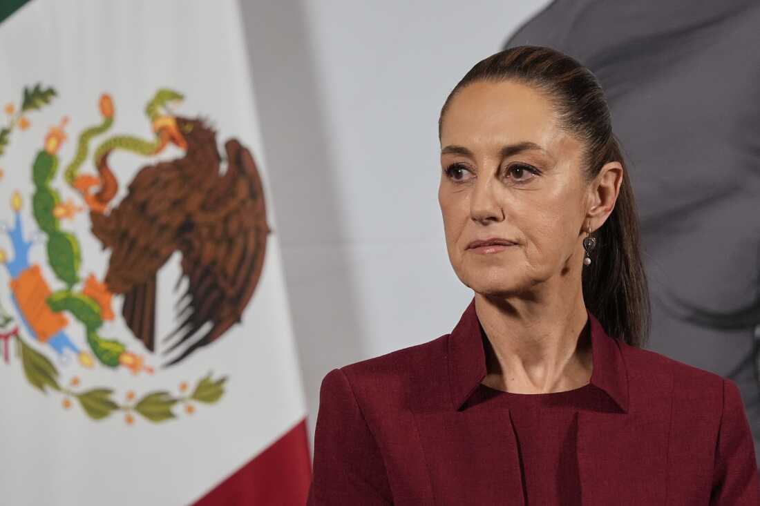 Mexico Rejects Trump’s Offer of Military Strikes against Cartels — again