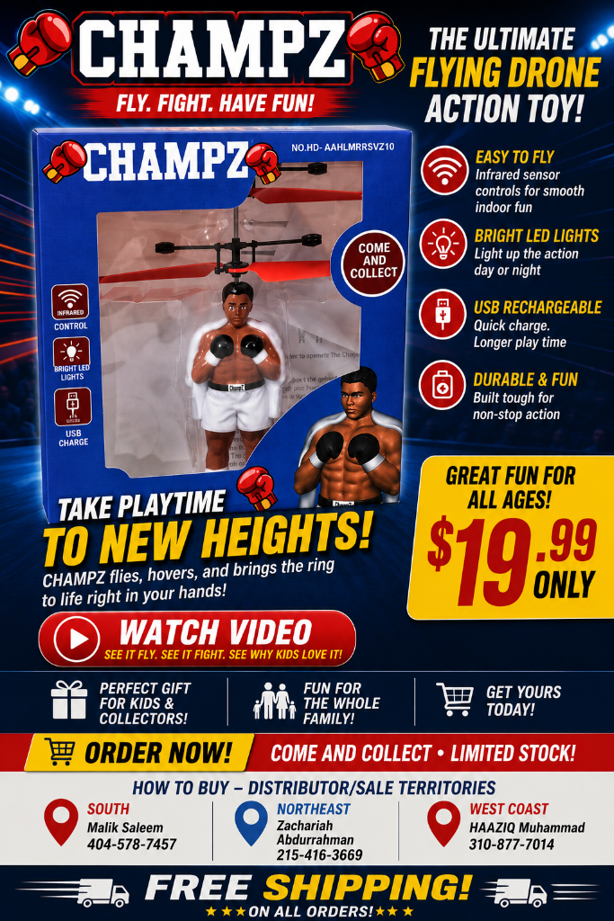 Champz Drone Toy