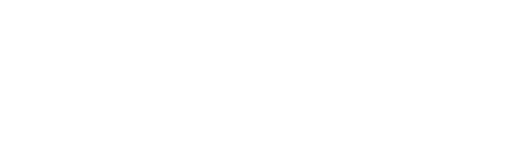 Academia Partner 2