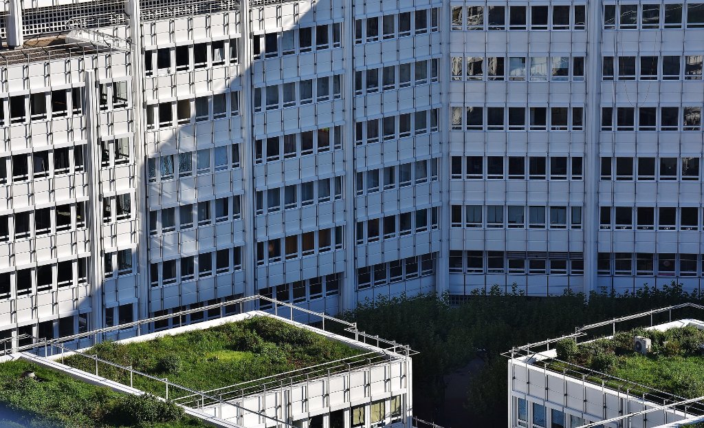Commercial office buildings with green rooftops — energy management for property managers