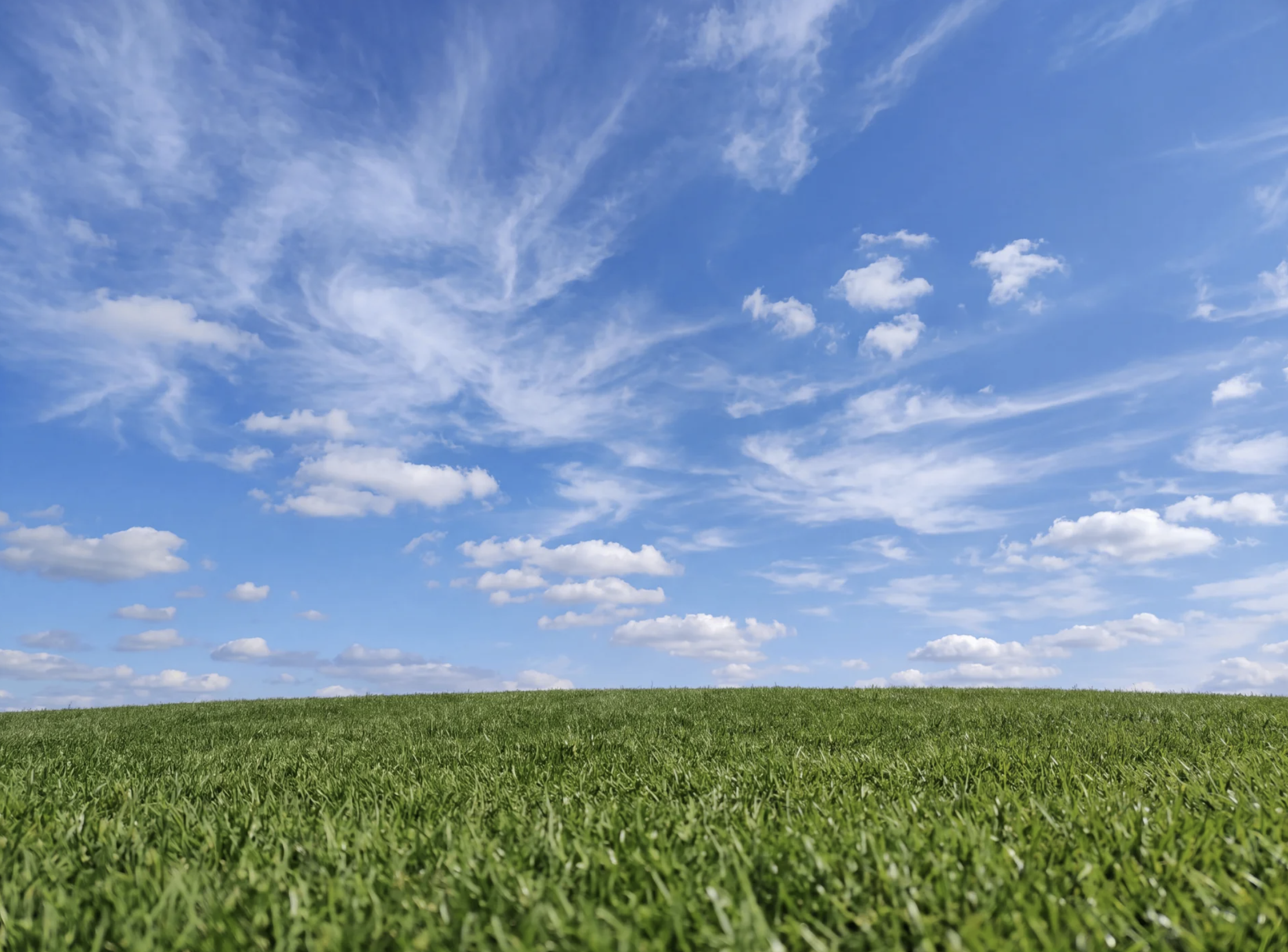 The location plate. Low camera, horizon at the lower third, cirrus upper left, small cumulus along the horizon.