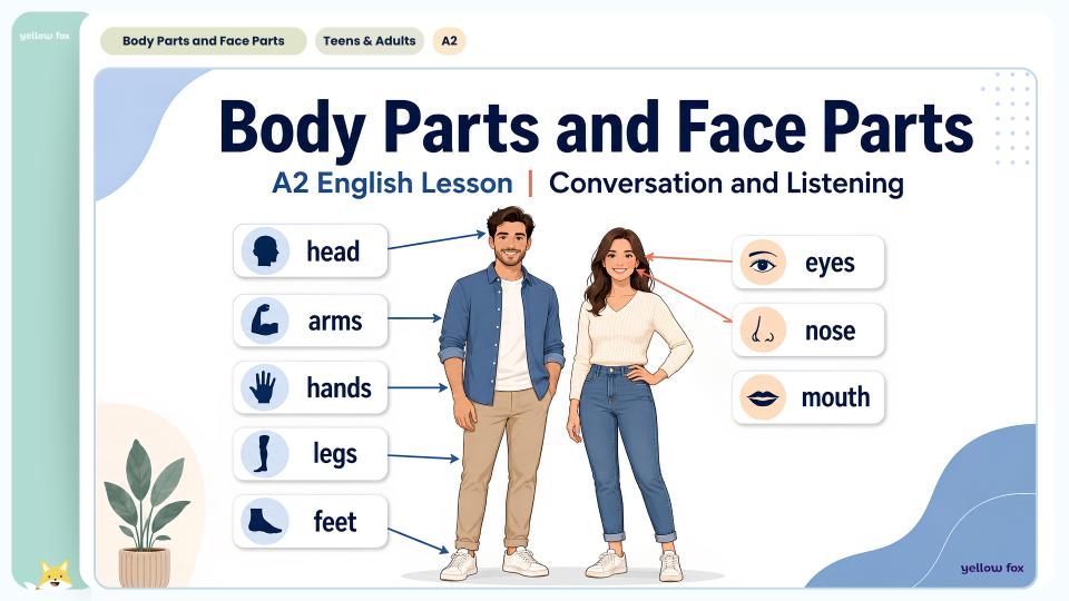 Body Parts and Face Parts
