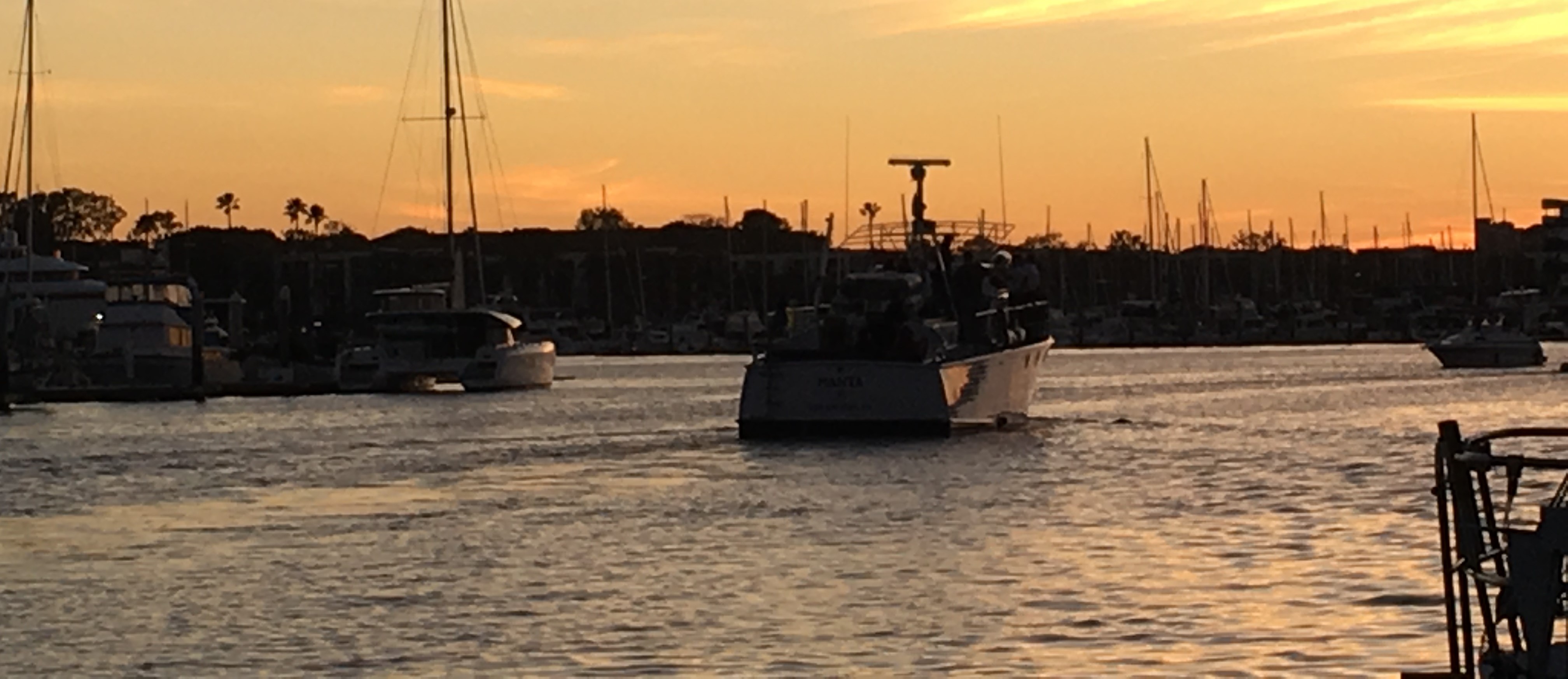 Manta at sunset in Marina del Rey