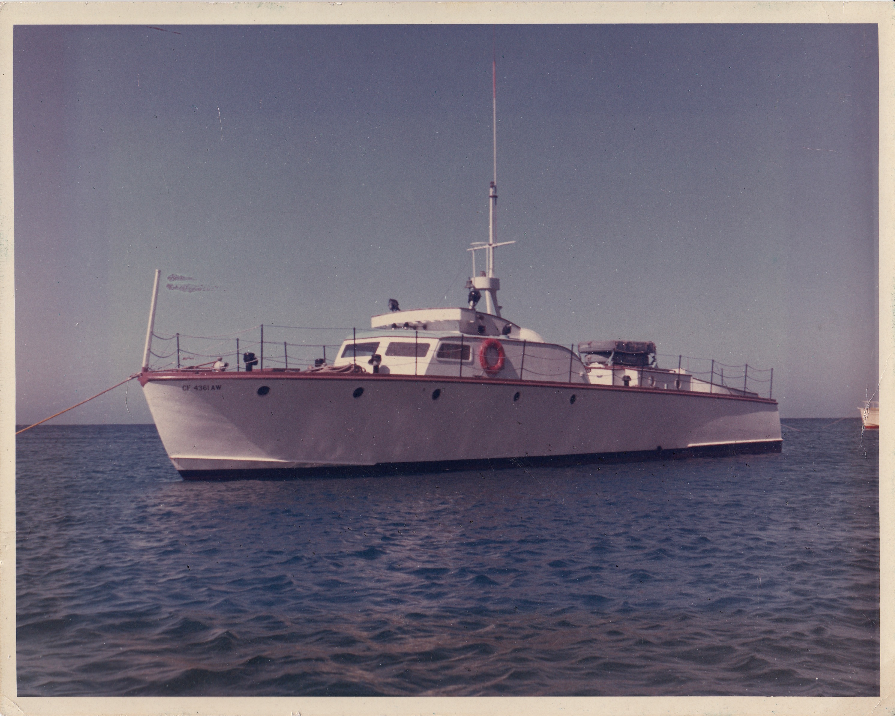 The Manta
