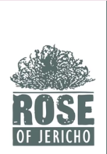 Rose of Jericho