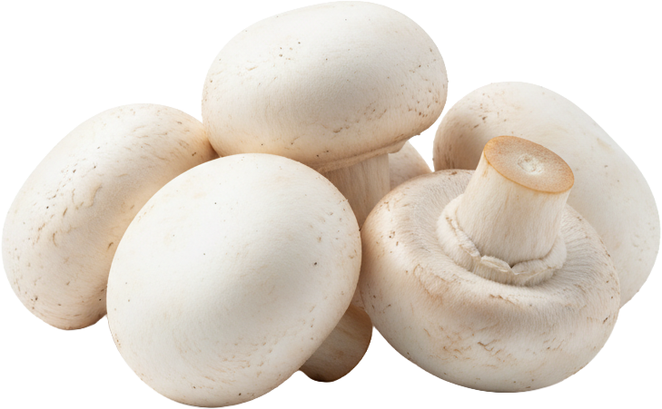 Mushrooms