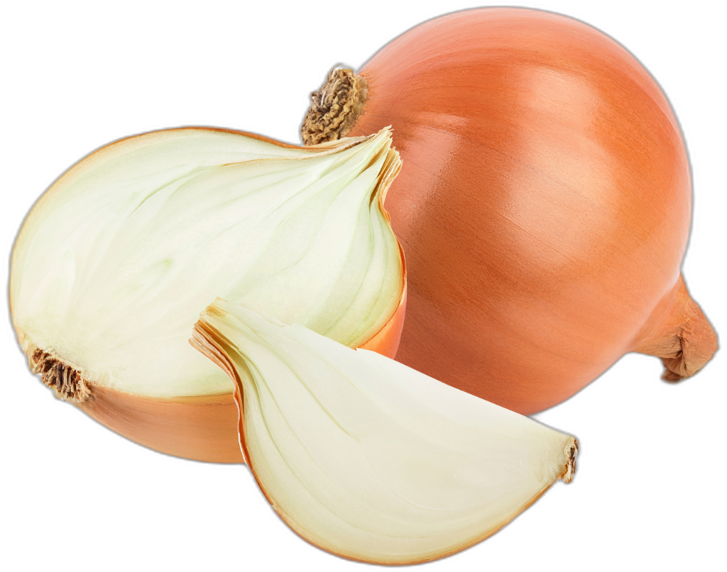 Onion