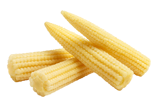 Baby Corn