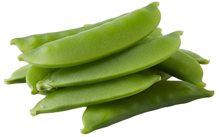 Mange Tout / Snow Peas