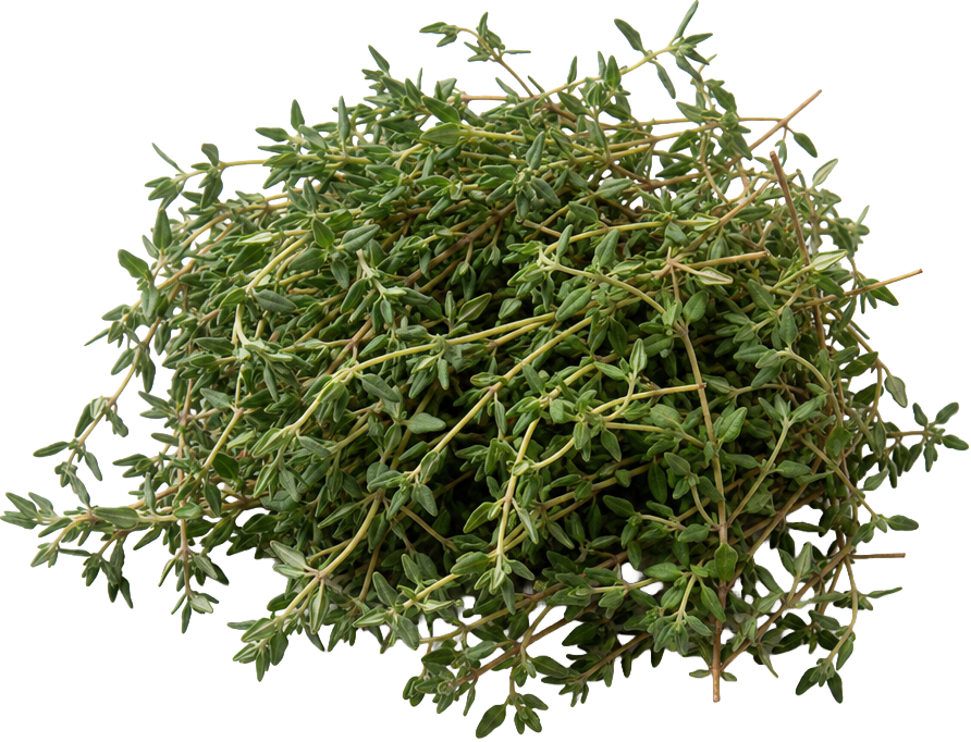 Thyme