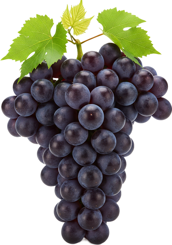 Grapes