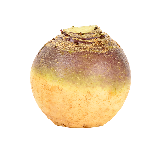 Swede / Rutabaga