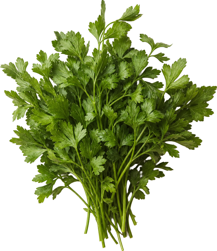 Parsley