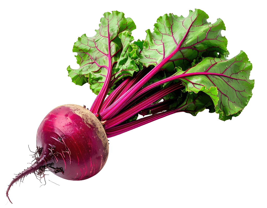 Beetroot