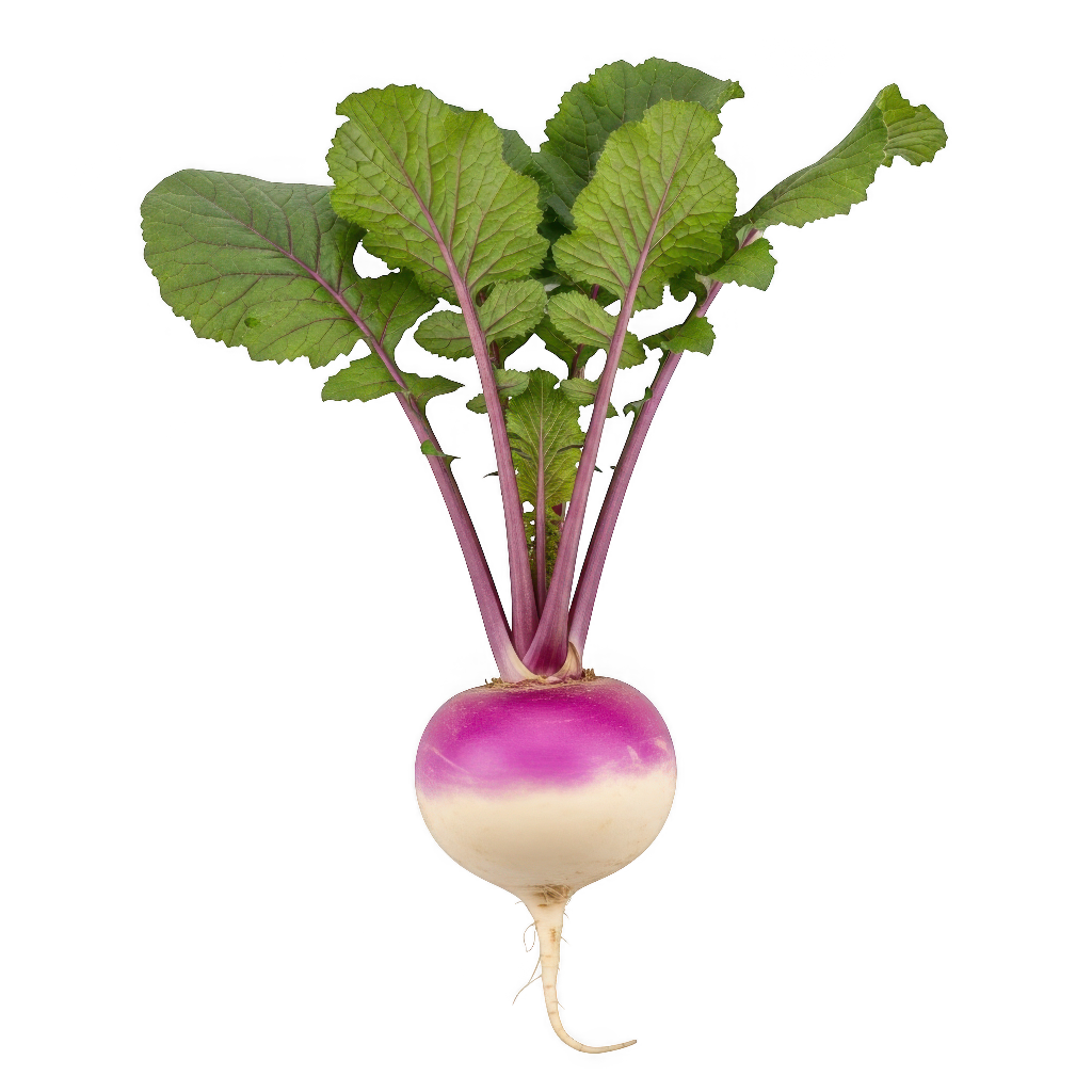 Turnips