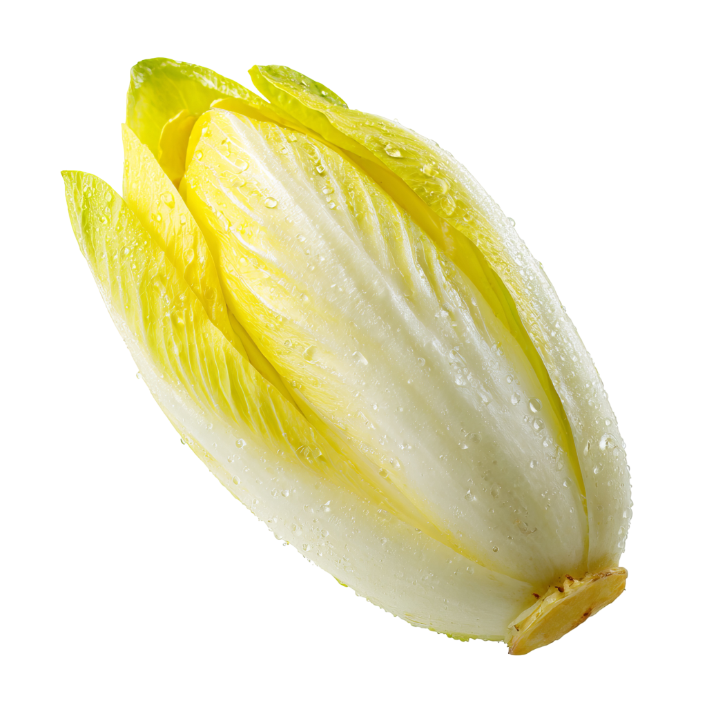 Endive