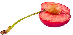 Cherry Pips