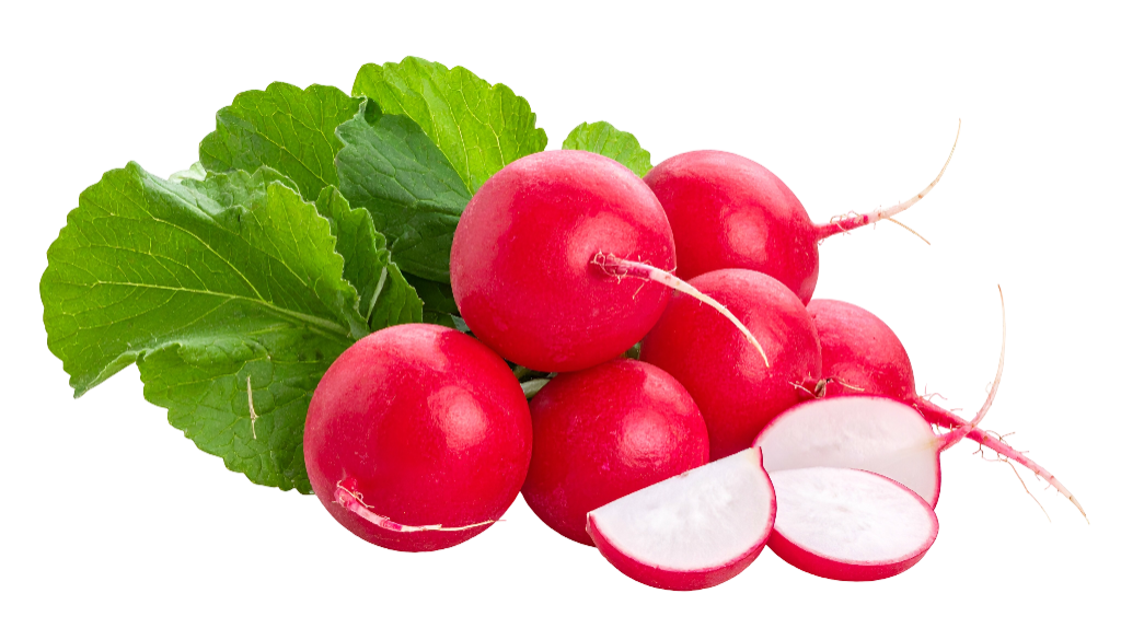 Radish Top Leaves