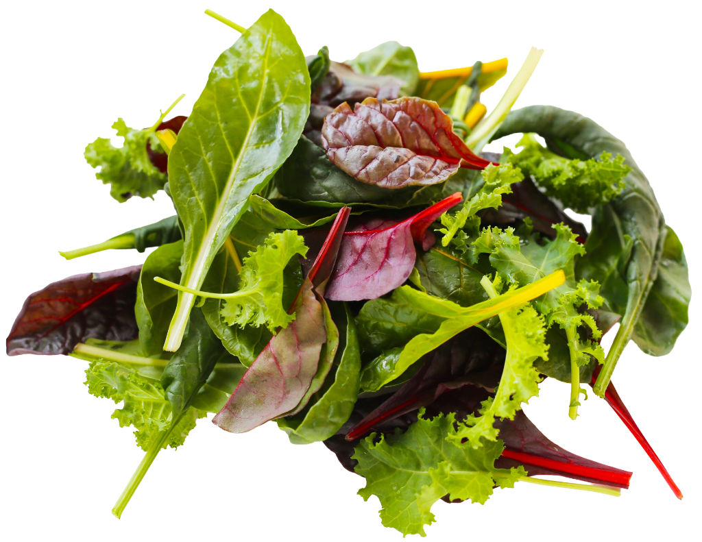 Fresh vegetables