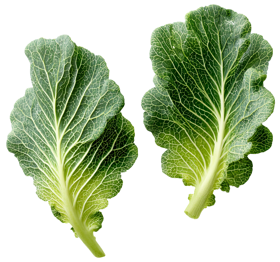 Cauliflower Leaves