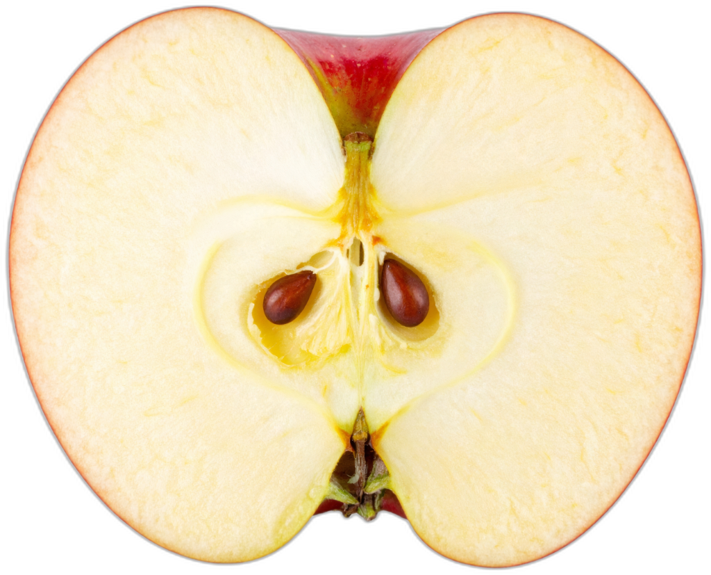 Apple Pips