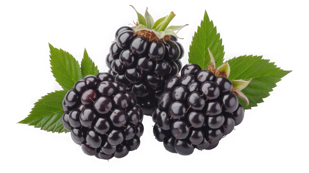 Blackberries