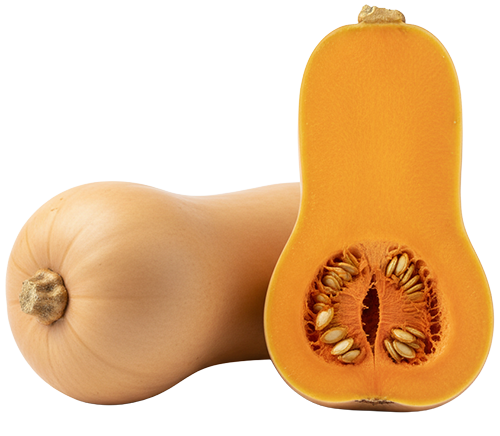 Butternut Squash