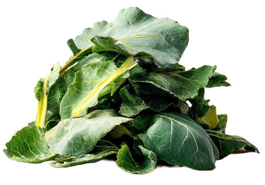 Broccoli Leaves