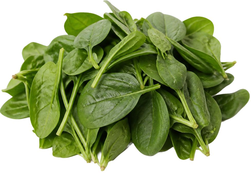 Spinach