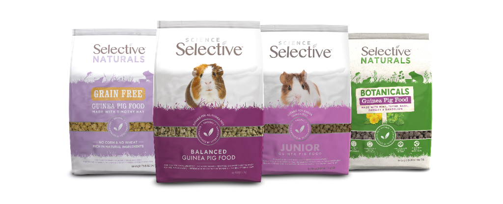 Selective Guinea Pig Food Products