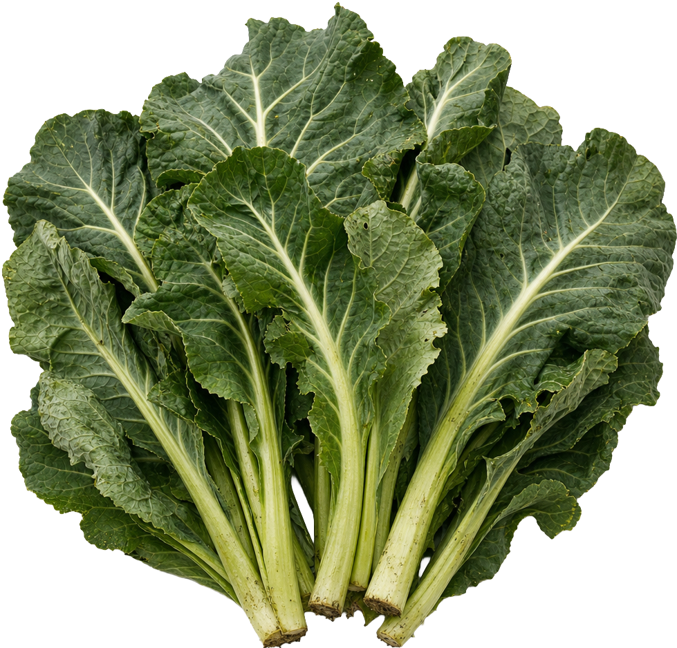 Spring Greens / Collard Greens