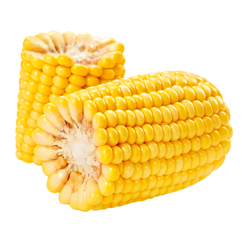 Corn on the Cob / Sweetcorn