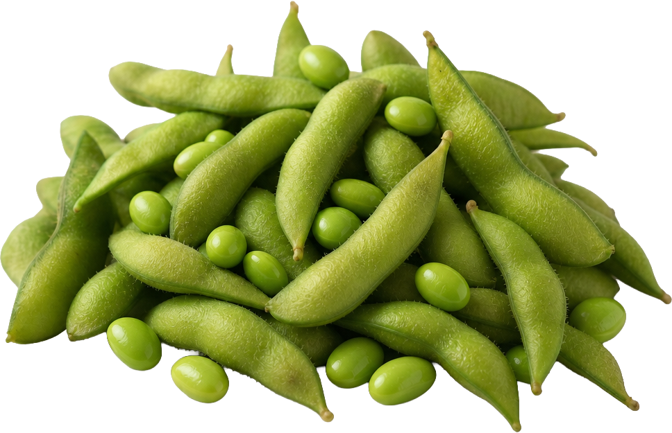 Edamame Beans