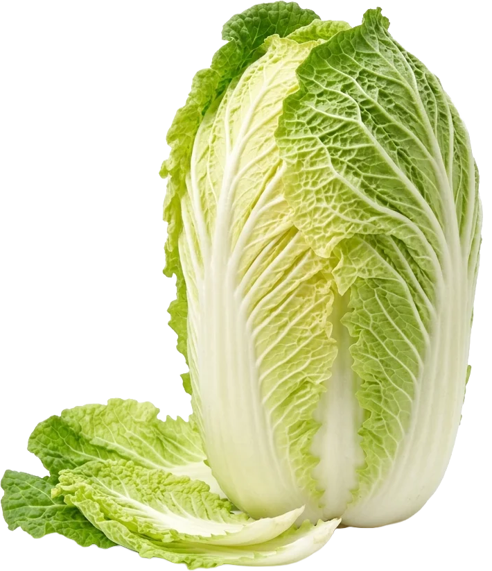 Chinese Leaves / Napa Cabbage