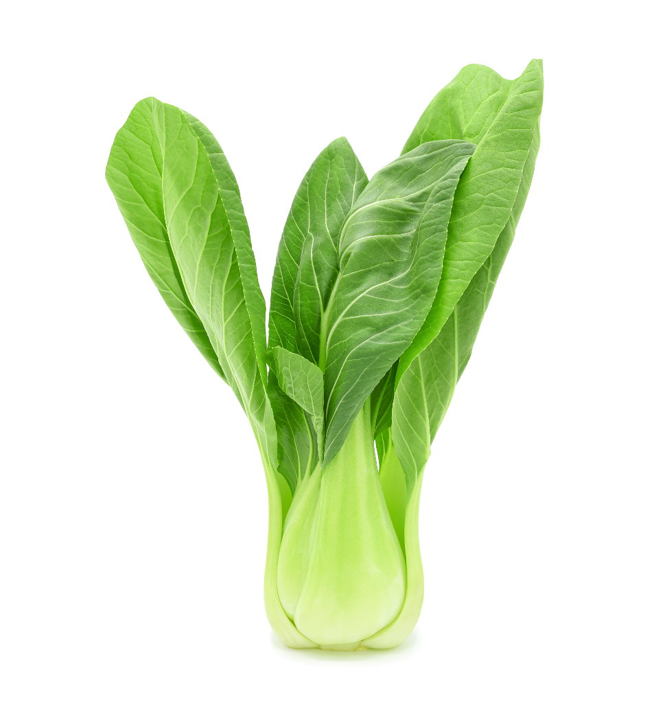 Bok Choi