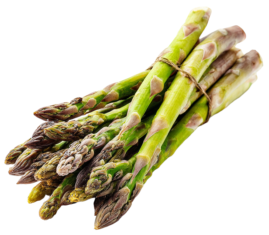 Asparagus
