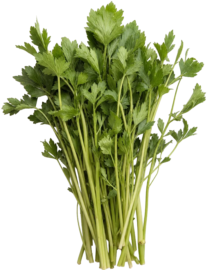 Wild Celery