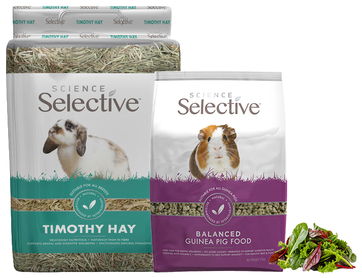 Guinea Pig Food Range
