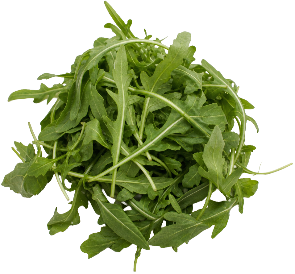 Rocket / Arugula