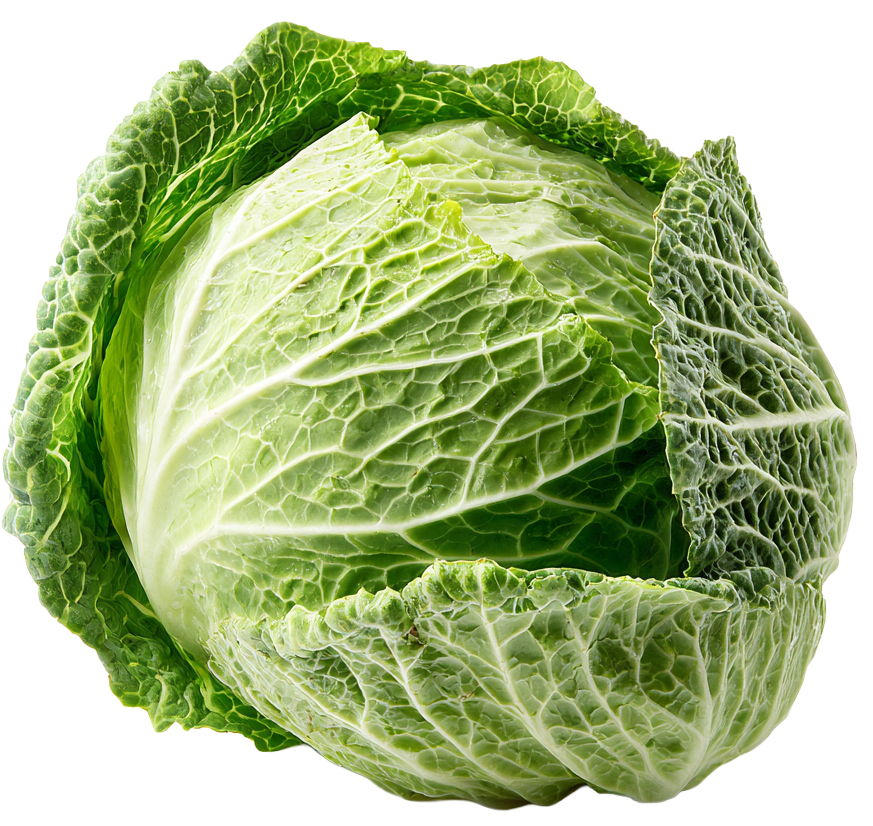 Cabbage