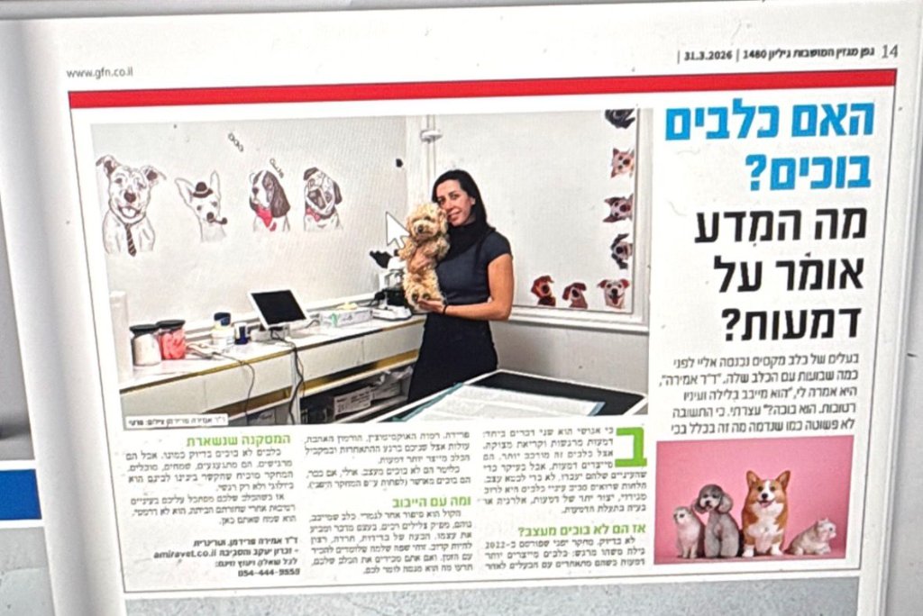 מרפאת ד"ר פרדימן