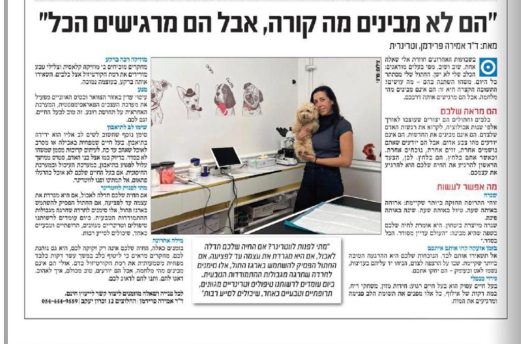 מרפאת ד"ר פרדימן