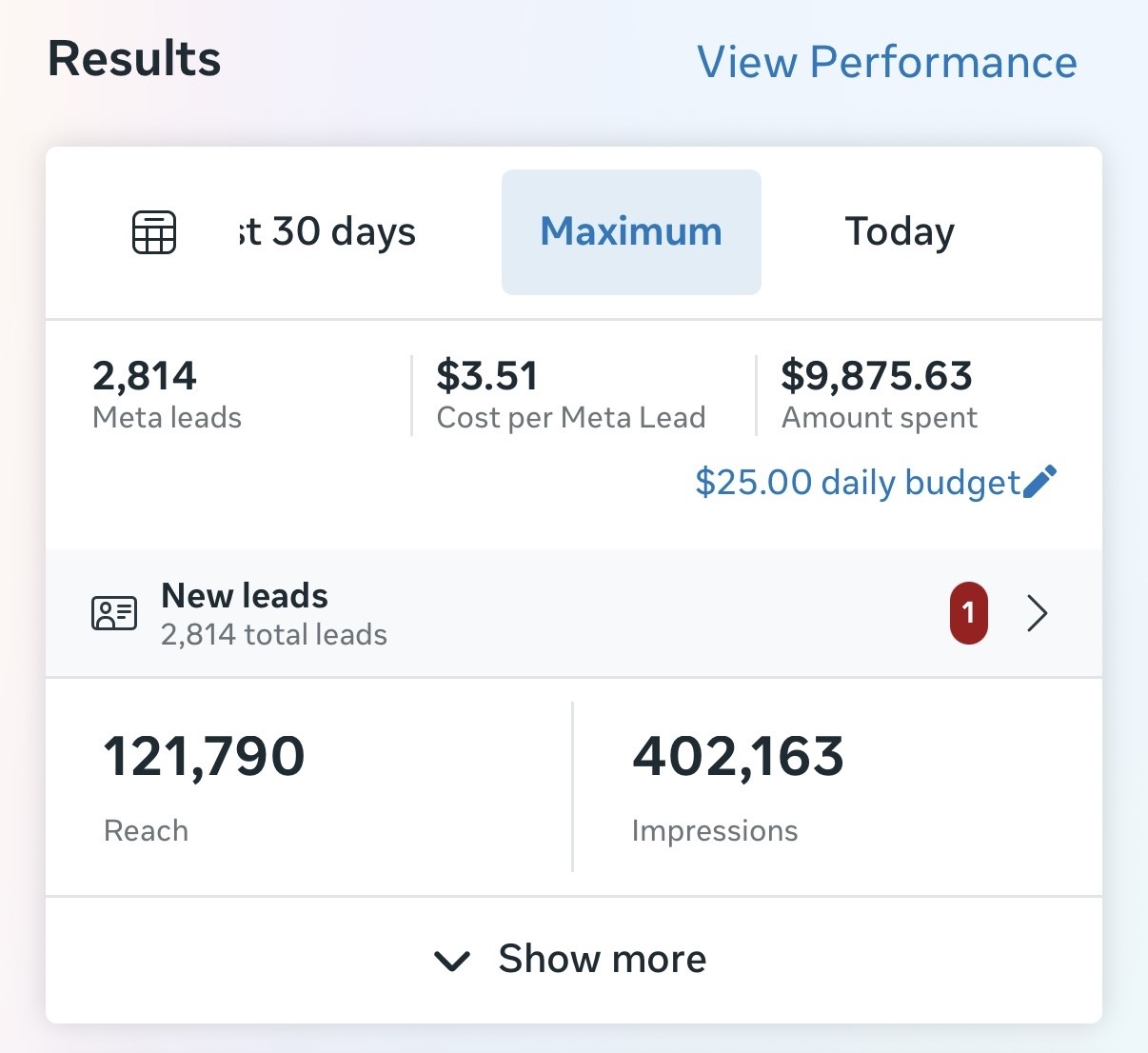 Actual Meta Ads campaign results screenshot