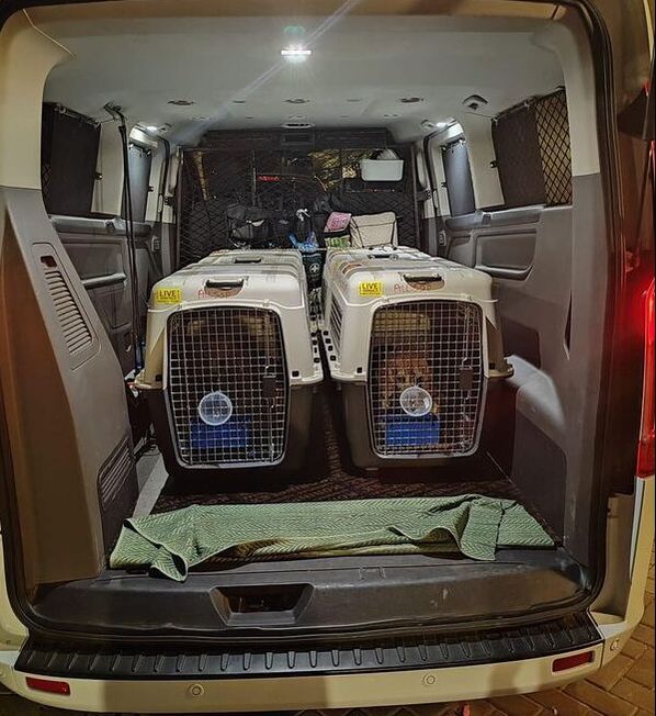 Pet transport van